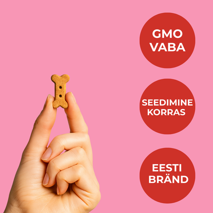 Seedimise tugi