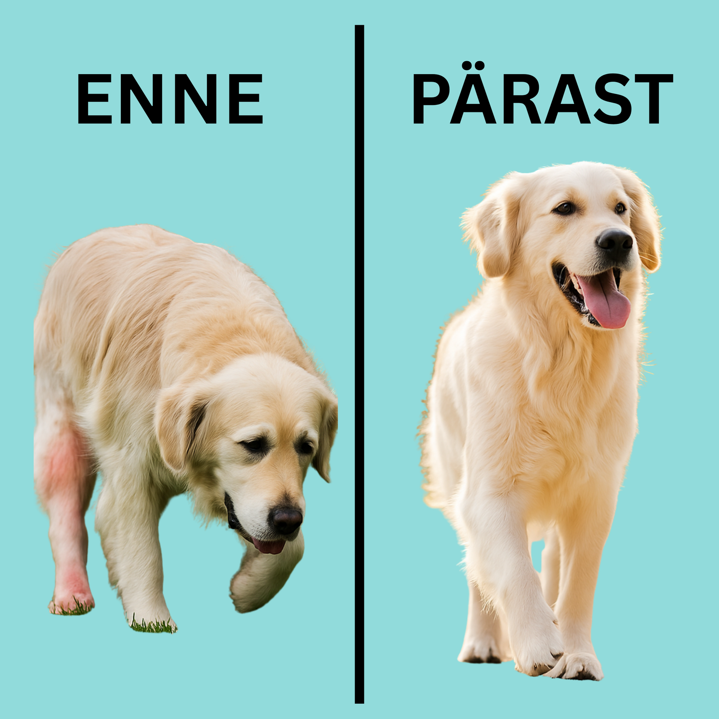 Liigeste ja luude tugi