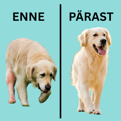 Liigeste ja luude tugi