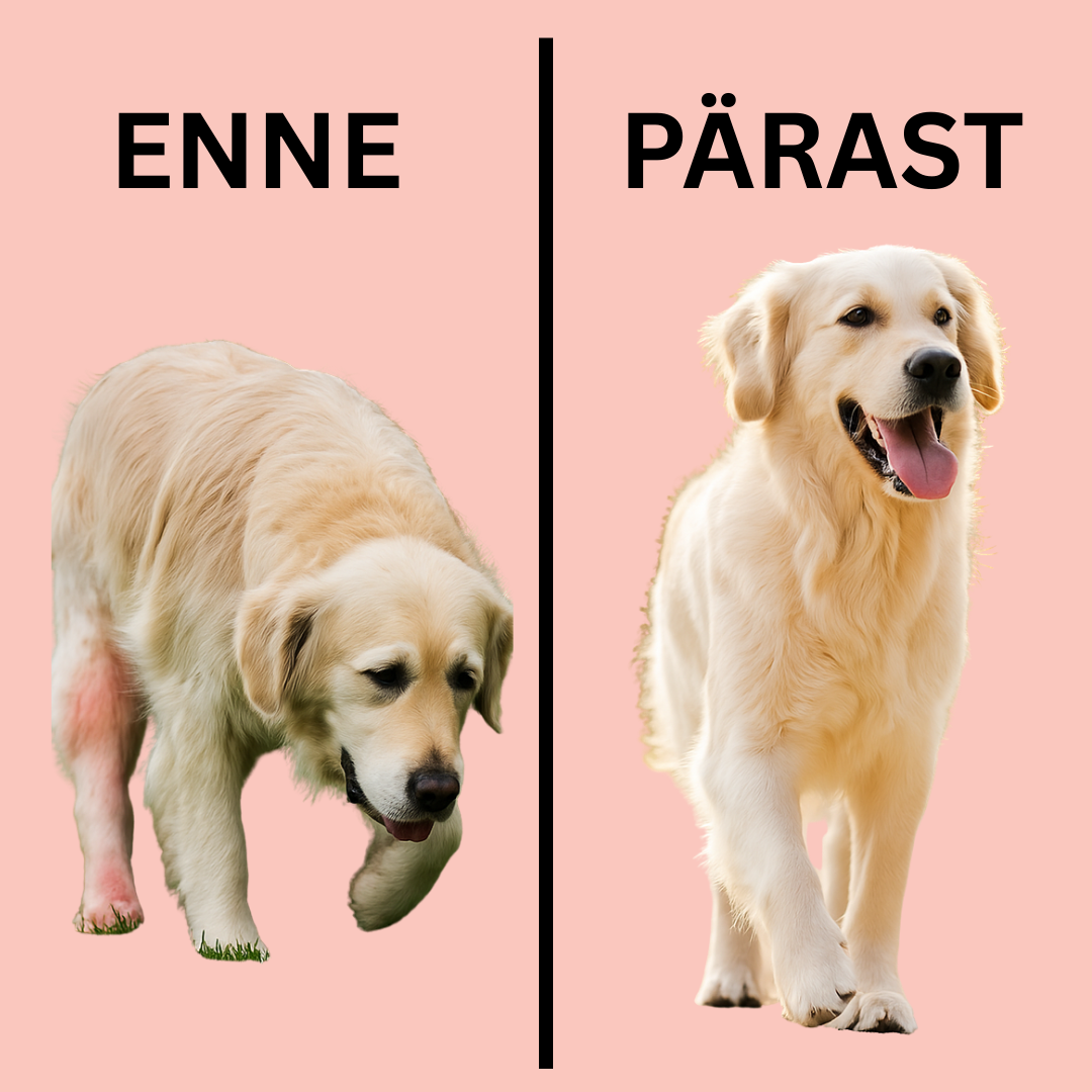 Naha ja karvkate tugi