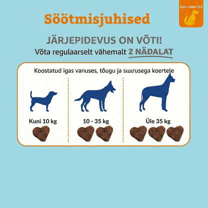 8 ühes multivitamiin